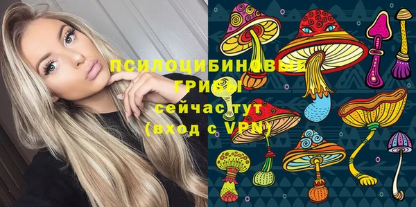 ешки Горнозаводск