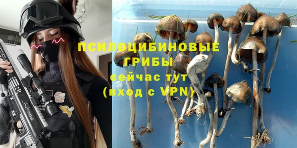 ешки Горнозаводск
