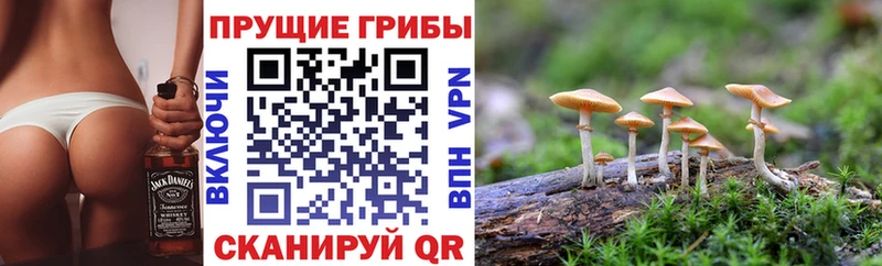 Псилоцибиновые грибы ЛСД omg ссылка Зубцов